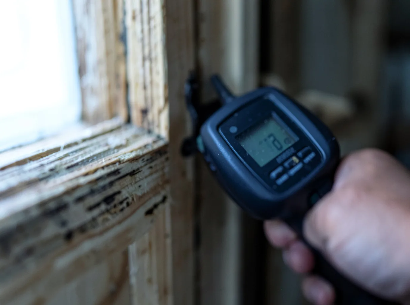Moisture Inspection And Documentation in Willacoochee, GA